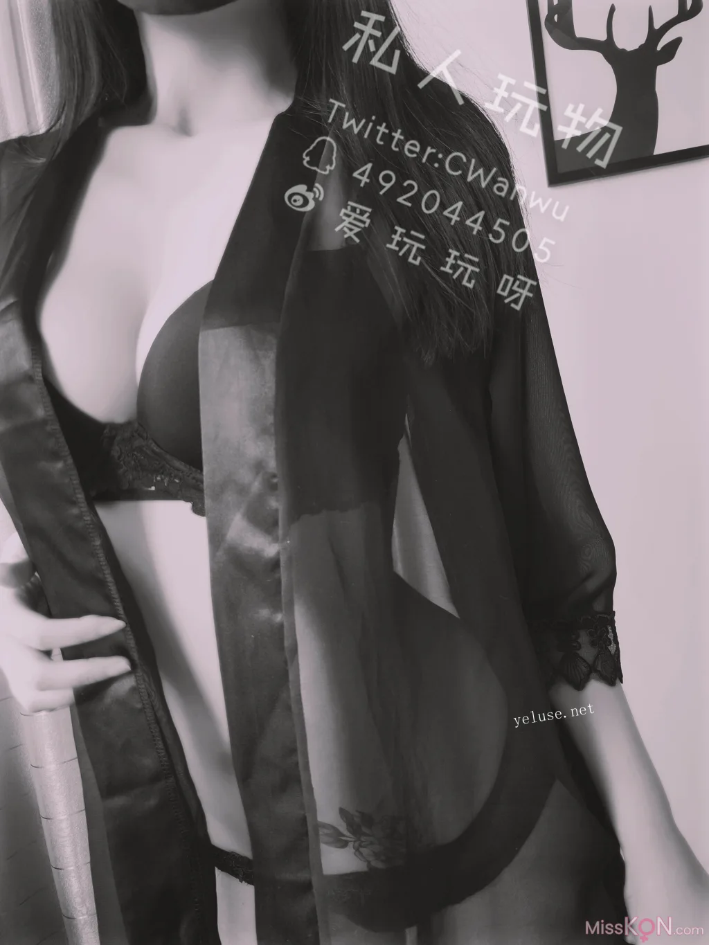 Coser@私人玩物: 性感透视情趣诱惑特辑 (46 photos + 4 videos)