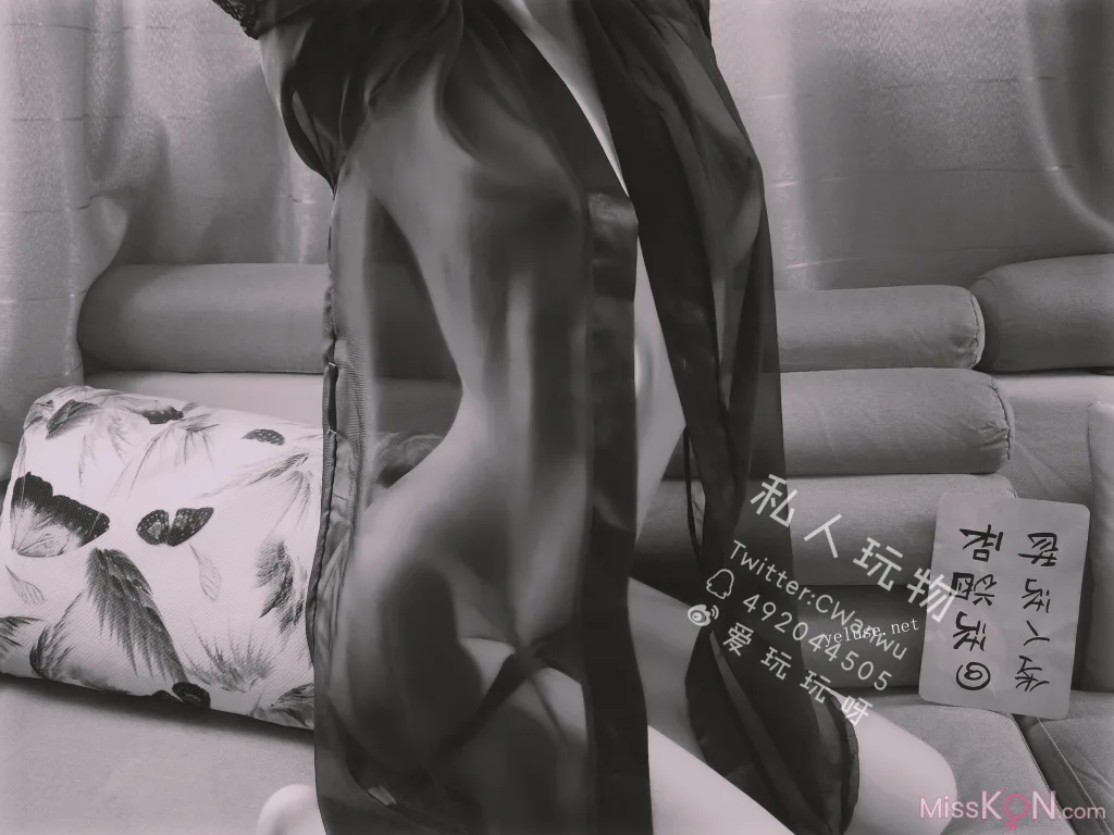Coser@私人玩物: 性感透视情趣诱惑特辑 (46 photos + 4 videos) 3 Coser@私人玩物: 性感透视情趣诱惑特辑 (46 photos + 4 videos) 3